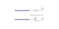 Maltodecaose DP10 linked to biotin with cleavable linker (Linker-CLBT A)