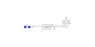 Isomaltose DP2 linked to...