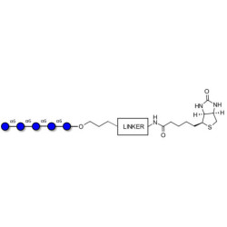 Isomaltopentaose DP5 linked to biotin with cleavable linker (Linker-CLBT A)