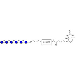 Isomaltohexaose DP6 linked to biotin with cleavable linker (Linker-CLBT A)