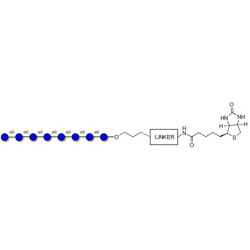 Isomaltooctaose DP8 linked to biotin with cleavable linker (Linker-CLBT A)