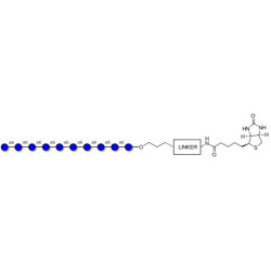 Isomaltodecaose DP10 linked to biotin with cleavable linker (Linker-CLBT A)