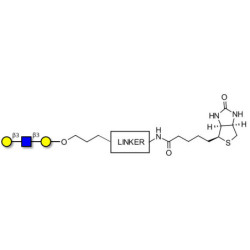 Core type 1 triose linked to biotin with cleavable linker (Linker-CLBT A)