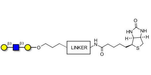 Core type 1 triose linked to biotin with cleavable linker (Linker-CLBT A)