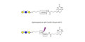Core type 1 triose linked to biotin with cleavable linker (Linker-CLBT A)