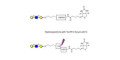 Core type 2 triose linked to biotin with cleavable linker (Linker-CLBT A)