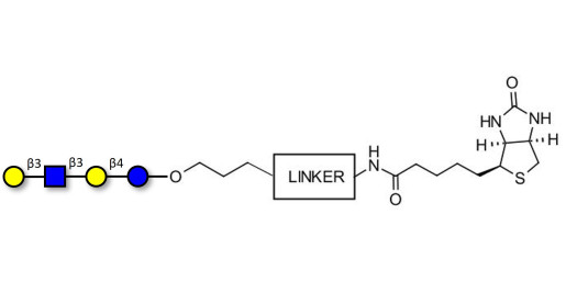 Lacto-N-tetraose (LNT) linked to biotin with cleavable linker (Linker-CLBT A) - GLY010-OAPb;LNT