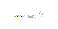 Lacto-N-tetraose (LNT)...
