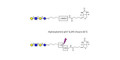 Lacto-N-tetraose (LNT) linked to biotin with cleavable linker (Linker-CLBT A) - GLY010-OAPb;LNT