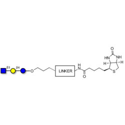 Lacto-N-Triose (LNT2) linked to biotin with cleavable linker (Linker-CLBT A)