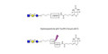 Lacto-N-Triose (LNT2) linked to biotin with cleavable linker (Linker-CLBT A) - LNT2; LNTII