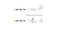 Para-Lacto-N-hexaose 2 (Para-LNH2) linked to biotin with cleavable linker (Linker-CLBT A)