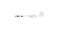 Lacto-N-neotetraose (LNnT /...