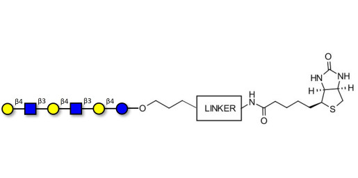 Para-Lacto-N-neohexaose (Para-LNnH) linked to biotin with cleavable linker (Linker-CLBT A) - GLY022-OAP