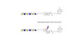 Para-Lacto-N-neohexaose (Para-LNnH) linked to biotin with cleavable linker (Linker-CLBT A) - GLY022-OAP