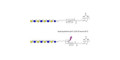 Lacto-N-neooctaose (LNnO) linked to biotin with cleavable linker (Linker-CLBT A)