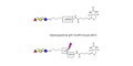 Blood group H antigen triose type 6 / 2’-Fucosyllactose (2'-FL) linked to biotin with cleavable linker (Linker-CLBT A)
