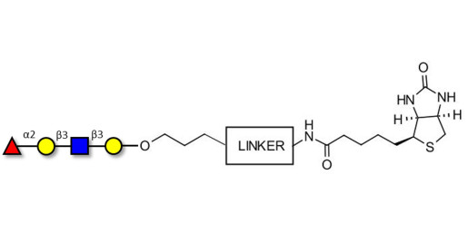 Blood group H antigen tetraose type 1 linked to biotin with cleavable linker (Linker-CLBT A) - Blood group H tetrasaccharide type I ; 