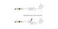 Blood group H antigen tetraose type 2 linked to biotin with cleavable linker (Linker-CLBT A)