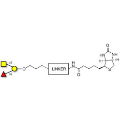 Blood group A antigen triose linked to biotin with cleavable linker (Linker-CLBT A)