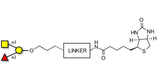 Blood group A antigen triose linked to biotin with cleavable linker (Linker-CLBT A) - GLY034-OAP