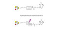 Blood group A antigen triose linked to biotin with cleavable linker (Linker-CLBT A) - GLY034-OAP