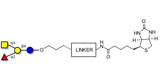 Blood group A antigen tetraose type 6 linked to biotin with cleavable linker (Linker-CLBT A)