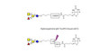 Blood group A antigen tetraose type 6 linked to biotin with cleavable linker (Linker-CLBT A)