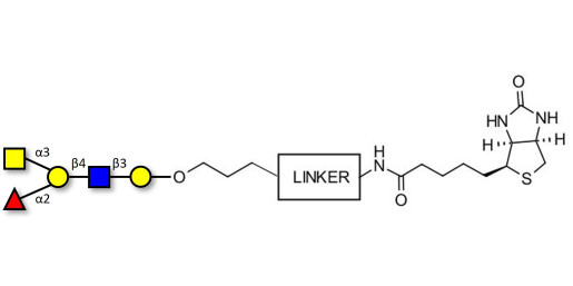 Blood group A antigen pentaose type 2 linked to biotin with cleavable linker (Linker-CLBT A)