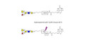 Blood group A antigen pentaose type 2 linked to biotin with cleavable linker (Linker-CLBT A)