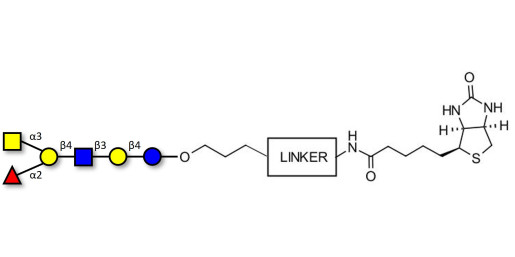 Blood group A antigen hexaose type 2 linked to biotin with cleavable linker (Linker-CLBT A)
