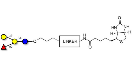 Blood group B antigen tetraose type 6 linked to biotin with cleavable linker (Linker-CLBT A)