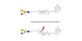 Blood group B antigen tetraose type 6 linked to biotin with cleavable linker (Linker-CLBT A)