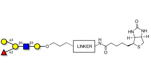 Blood group B antigen pentaose type 1 linked to biotin with cleavable linker (Linker-CLBT A)