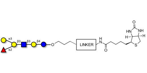 Blood group B antigen hexaose type 1 linked to biotin with cleavable linker (Linker-CLBT A)