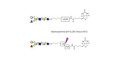 Blood group B antigen hexaose type 1 linked to biotin with cleavable linker (Linker-CLBT A)