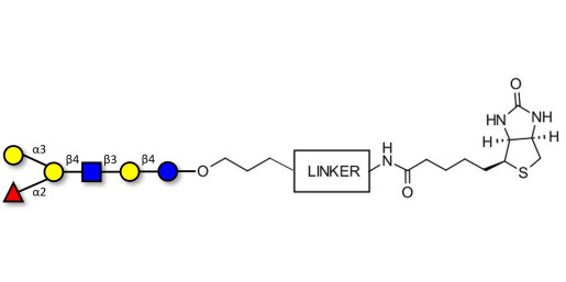 Blood group B antigen hexaose type 2 linked to biotin with cleavable linker (Linker-CLBT A)