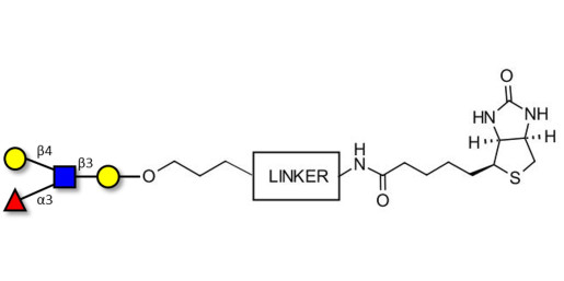 Lewis x (Lex) tetraose linked to biotin with cleavable linker (Linker-CLBT A) - GLY050-OAPb