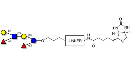 Lewis x (Lex) hexaose / Lacto-N-neodifucohexaose II (LNnDFH II) linked to biotin with cleavable linker (Linker-CLBT A) - Lewis X hexasaccharide; Lacto-N-difucohexaose III ; LNDFH III