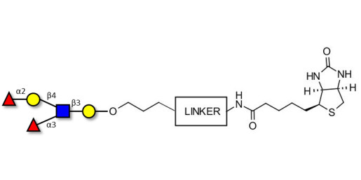 Lewis y (Ley) pentaose linked to biotin with cleavable linker (Linker-CLBT A)