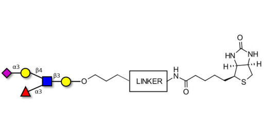 Sialyl Lewis x (sLex) pentaose linked to biotin with cleavable linker (Linker-CLBT A)