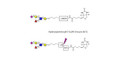 Sialyl Lewis x (sLex) pentaose linked to biotin with cleavable linker (Linker-CLBT A)