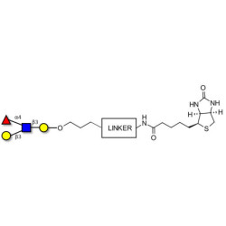 Lewis a (Lea) tetraose linked to biotin with cleavable linker (Linker-CLBT A)