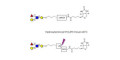 Lewis a (Lea) tetraose linked to biotin with cleavable linker (Linker-CLBT A)