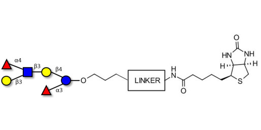Lewis a (Lea) hexaose / Lacto-N-difucohexaose II (LNDFH II) linked to biotin with cleavable linker (Linker-CLBT A)
