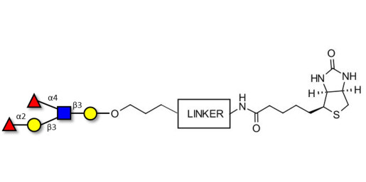 Lewis b (Leb) pentaose linked to biotin with cleavable linker (Linker-CLBT A)