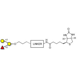 Blood group B antigen triose linked to biotin with cleavable linker (Linker-CLBT A)