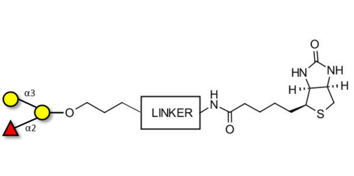 Blood group B antigen triose linked to biotin with cleavable linker (Linker-CLBT A)