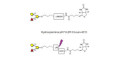 Blood group B antigen triose linked to biotin with cleavable linker (Linker-CLBT A)