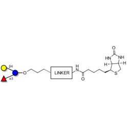 3-Fucosyllactose (3-FL) linked to biotin with cleavable linker (Linker-CLBT A)